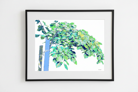 "Bohemian Linden" Art Print by Vitali Komarov