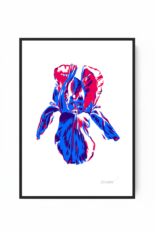 "Iris" from the "Flowering Graphics" Series