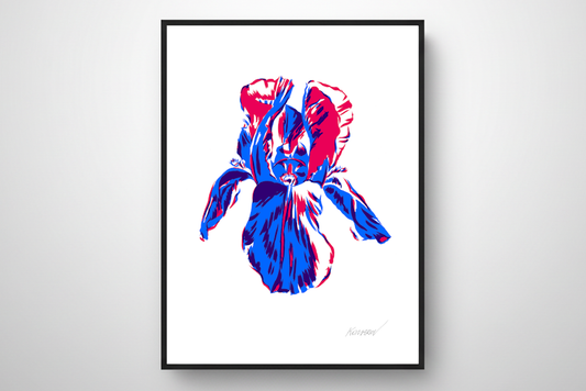 "Iris" from the "Flowering Graphics" Series
