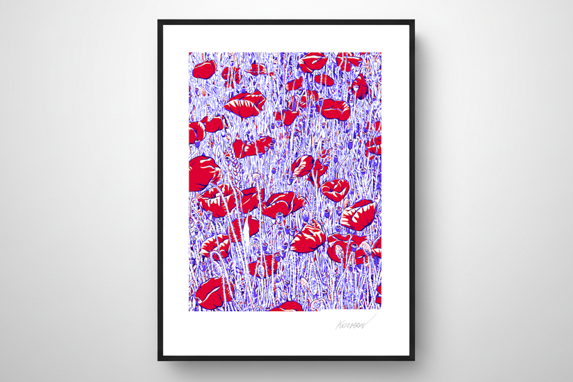 "Moravian Summer" from the "Flowering Graphics" Series