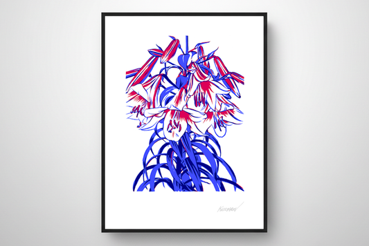 "Royal Lily" from the "Flowering Graphics" Series