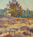 Original oil landscape paintings no.852
