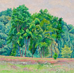 Original oil landscape paintings no.865