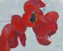 Original oil flower painting no.950